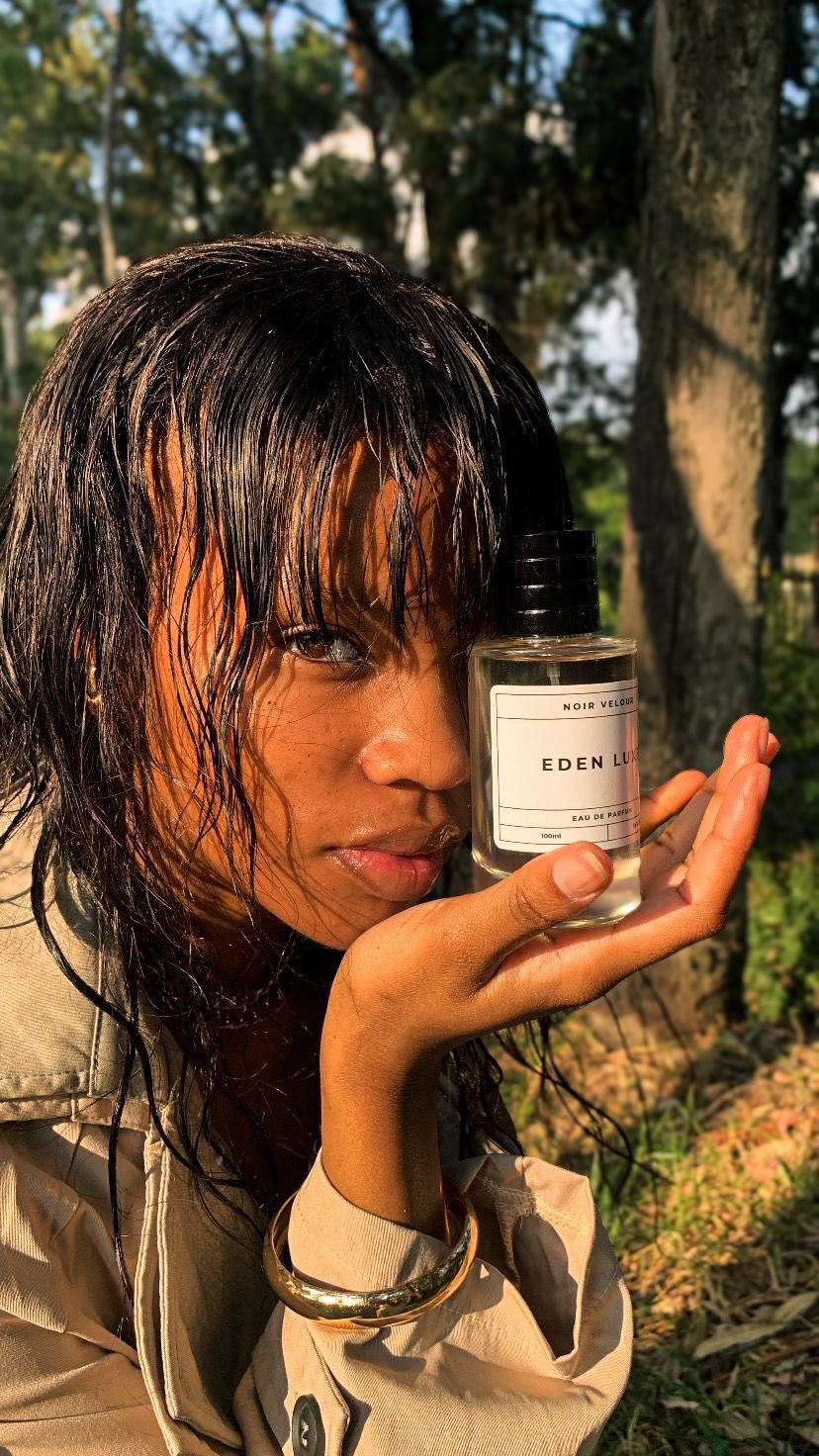 Noir Velour Background 3